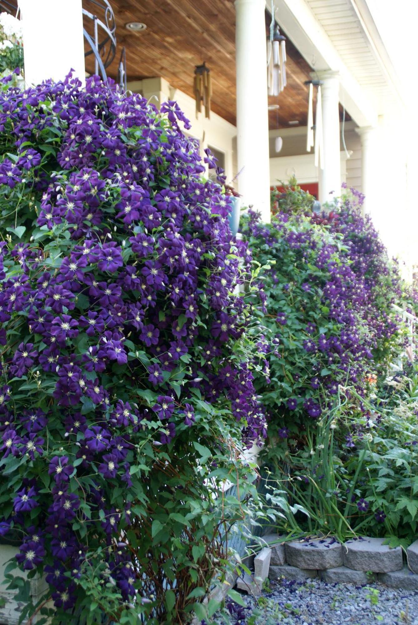 Niagara-on-the-Lake Globetrotters B&B المظهر الخارجي الصورة